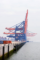 Image showing Harbor cranes in the mist