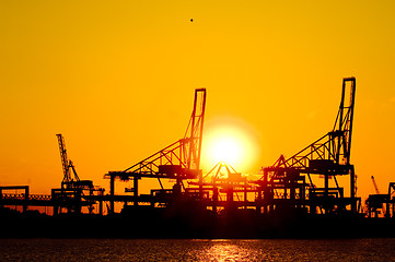 Image showing Cranes at sunset