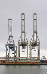 Image showing Three Cranes