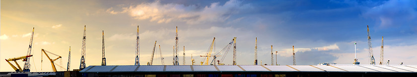 Image showing Cranes skyline