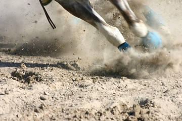 Image showing Horse Feet Racing