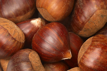 Image showing Chestnuts