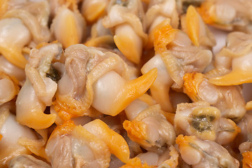 Image showing Cockles