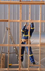 Image showing Carpenter At Work