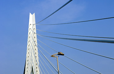 Image showing Erasmus Bridge Detail