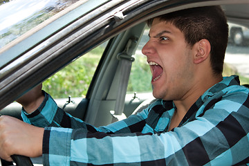 Image showing Man Expressing Road Rage