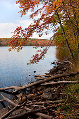Image showing New England Fall Foliage