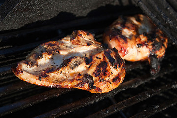 Image showing Grilled Chicken Breasts
