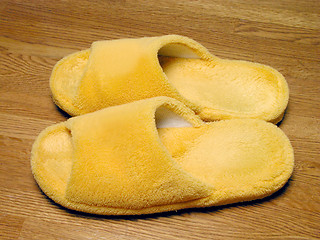 Image showing Plush slippers
