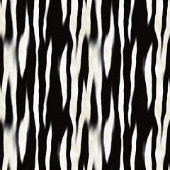 Image showing Zebra Skin Pattern