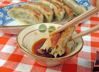 Image showing Gyoza table