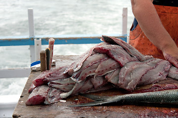 Image showing Fisherman Cleaning Blue Fish