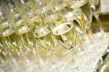 Image showing Champagne