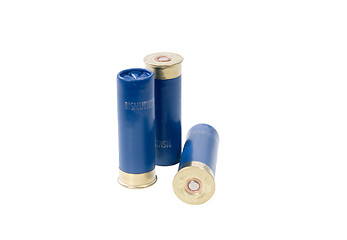 Image showing Shotgun shells