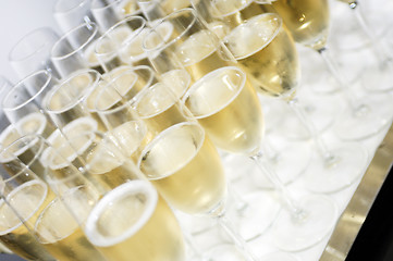 Image showing Tray with champagne glasses