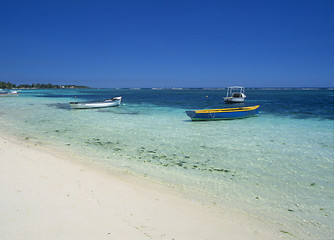 Image showing Grand Baie beach and lagoon Mauritius Island