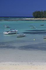 Image showing lagoon at Blue Bay, Mauritius Island