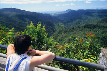 Image showing Black river gorge Mauritius Island