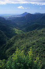 Image showing Black river gorge Mauritius Island