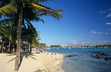 Image showing Palm trees on Grand Baie beach Mauritius Island