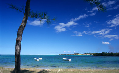 Image showing Bras d'eau beach at Mauritius Island