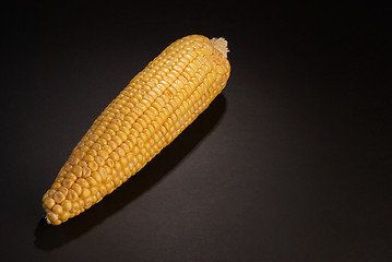 Image showing Corn on the cob