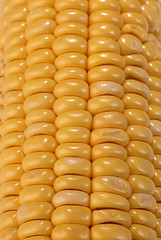 Image showing Corn on the cob