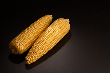 Image showing Corn on the cob