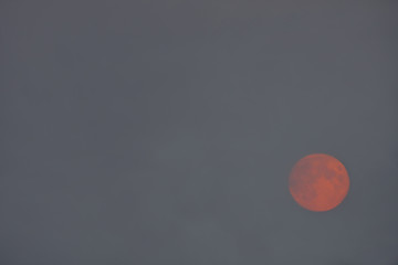 Image showing Background of night sky with moon.