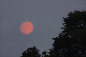 Image showing Background of night sky with moon.