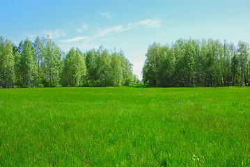 Image showing Spacious meadows 