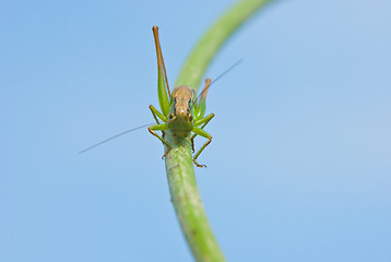 Image showing In search of the top  point