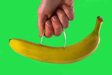 Image showing Portable banana