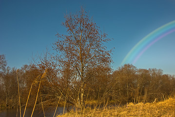 Image showing Late autumn