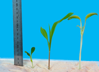 Image showing successes in growth 