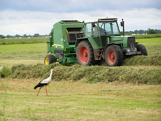 Image showing Hay gathering 3