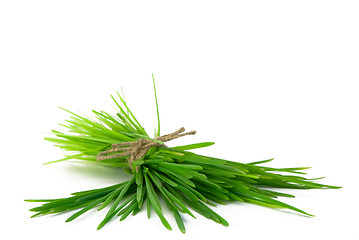 Image showing Bunch of grass 