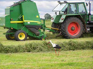 Image showing Hay gathering 5