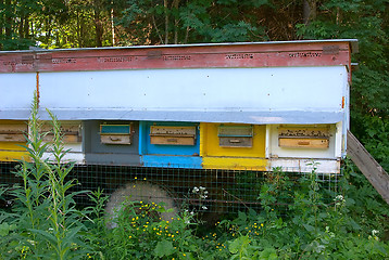 Image showing Mobile beehive