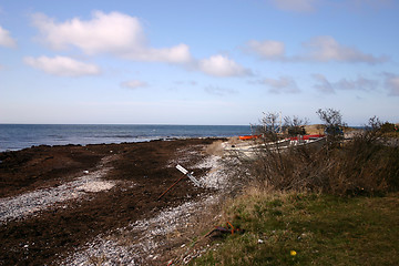 Image showing beach