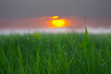 Image showing sunset & macro