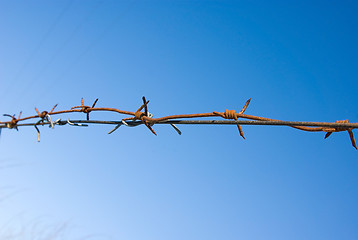 Image showing  barbed wire - no freedom
