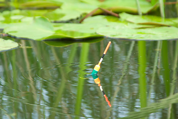 Image showing watch a float