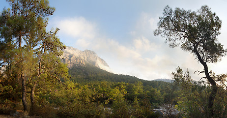 Image showing Nature panorama