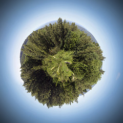 Image showing Nature Sphere