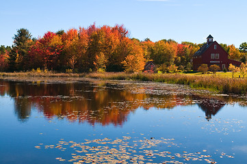 Image showing Pond