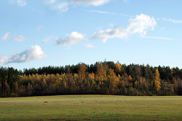 Image showing Light Escaping Forest and Field