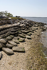 Image showing Shore defence