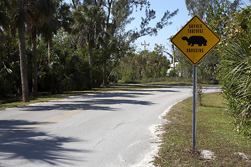 Image showing Gopher tortoise sign