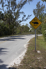 Image showing Gopher tortoise sign